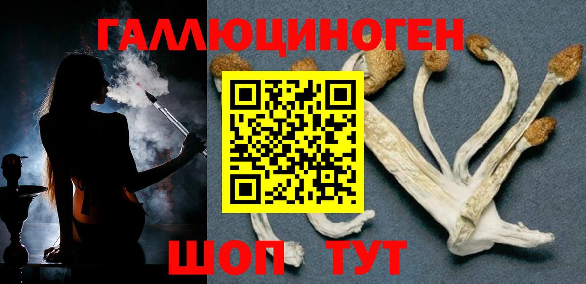 Муравленко  Псилоцибиновые грибы мицелий  Вход с VPN 